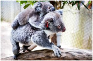 Me with my husband entering the Paris metro