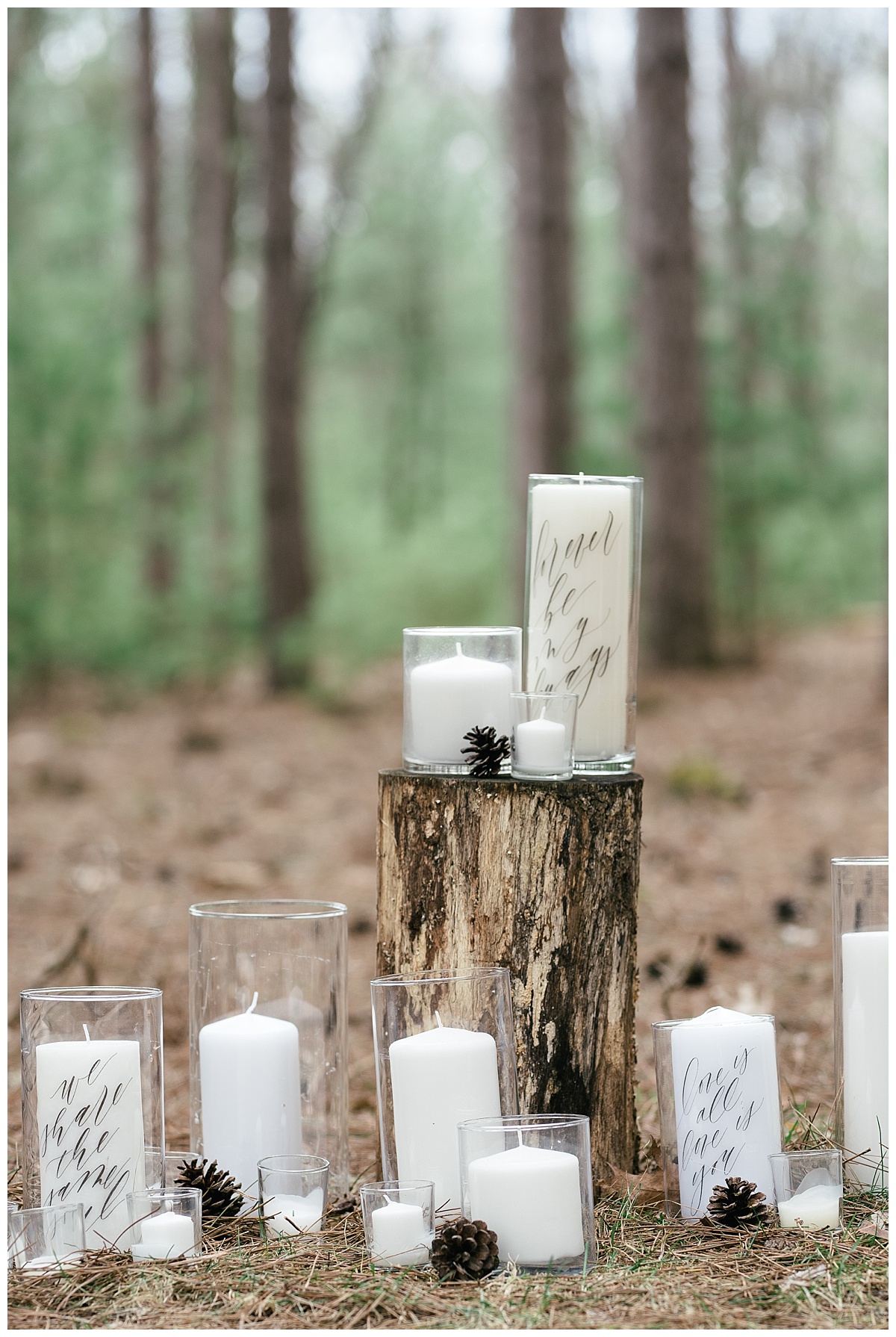 Forest Wedding Burlap and Bells Black River Falls Wisconsin Wedding Photographer Photography Woodsy Elevate Events Minkmaids