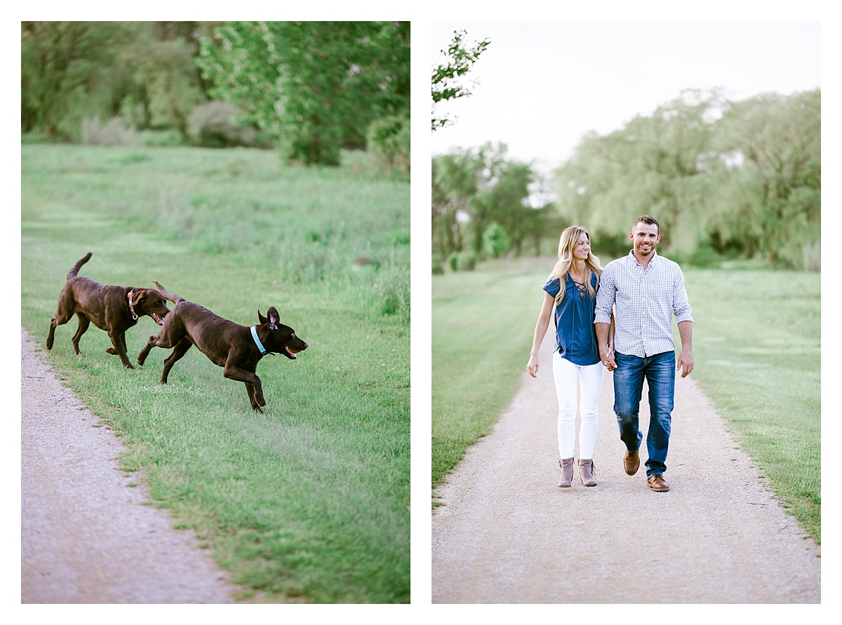 engagement session, wedding, photography, couple, rustic, bride, groom, barn, labrador, puppy, dogs, chocolate labs, engaged, appleton, wisconsin, photography, photographer